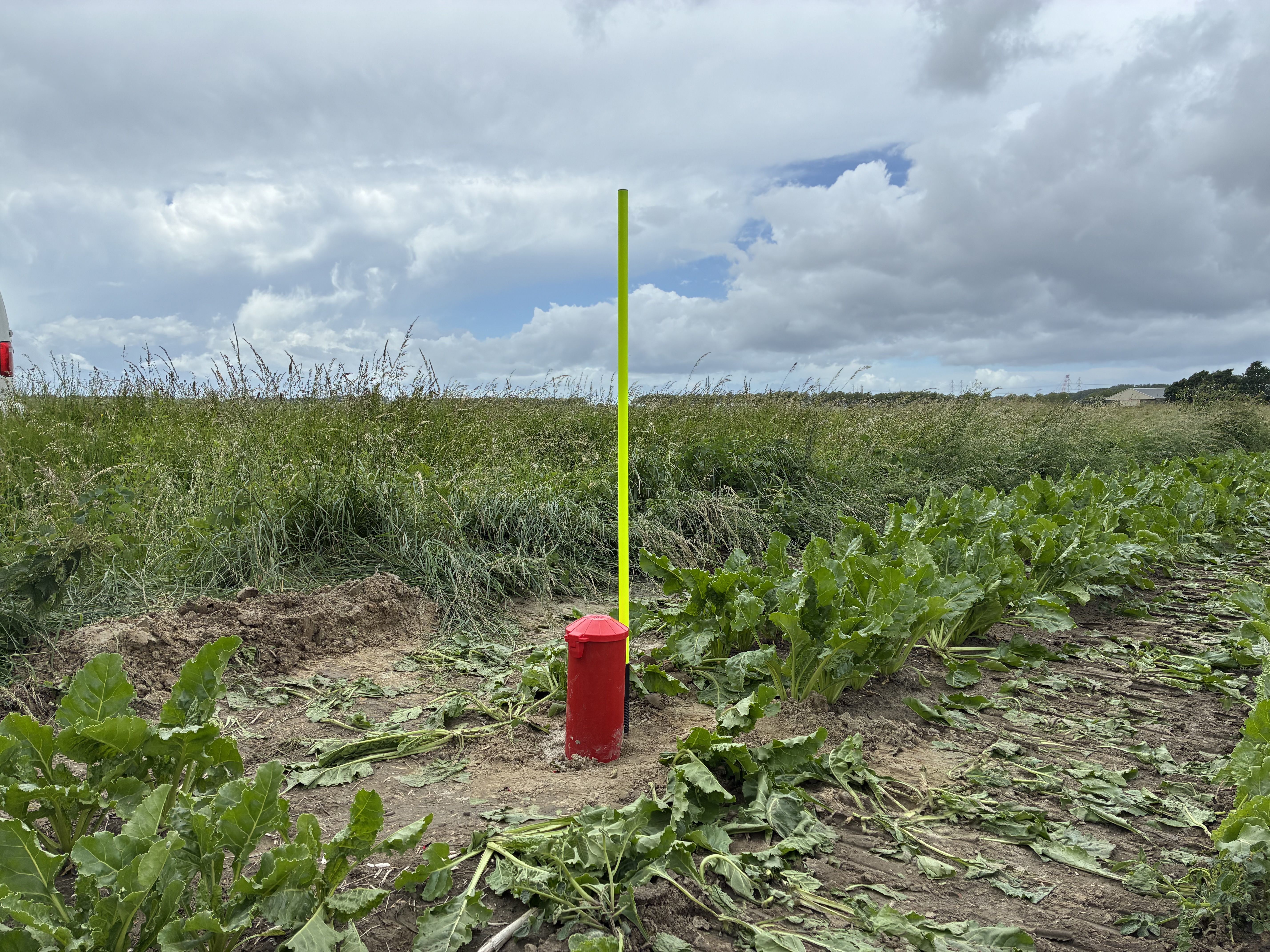 Zeeuwse bodem waterstofnetwerk Zuidwest-Nederland