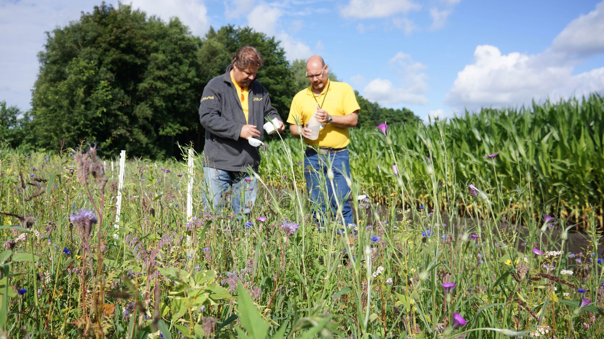Gasunie op land waterstofnetwerk Noord Nederland